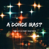 A Dónde Irás? - Single - tenshix & Kane Martinez