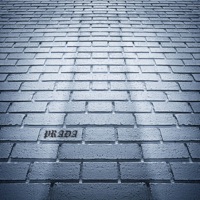 PRADA (feat. Kill Virgo) - Single - SummersToCold