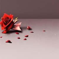 Thought You Loved Me (feat. Ezra) - Single - Fidzhi