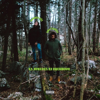 LA FORESTA DI SHERWOOD