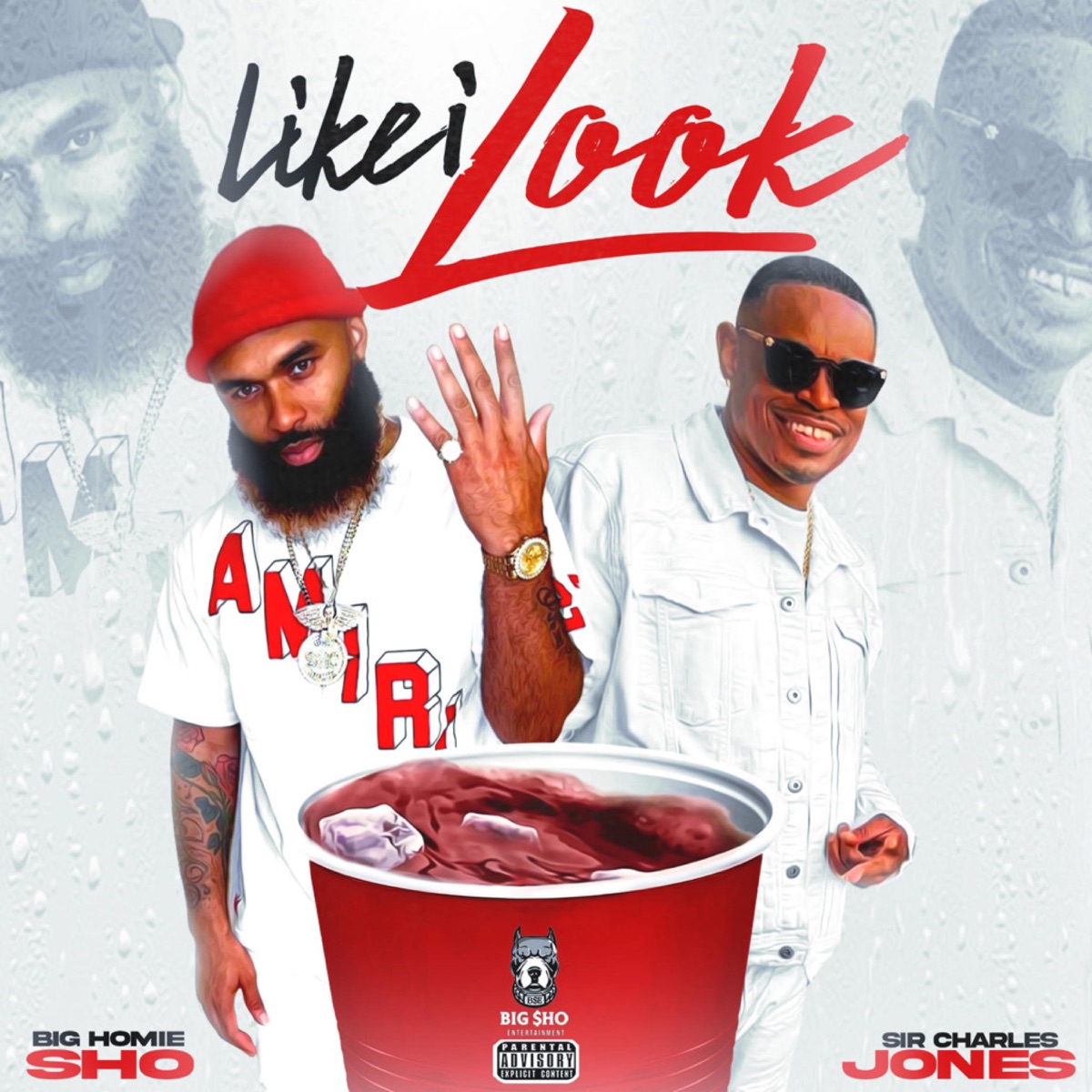 Like I Look - Single