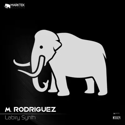Escucha Labiry Synth - Single de M. Rodriguez