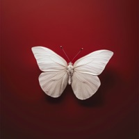 Bad Thoughts - Single - Young BoB