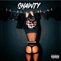 Shawty - Single - King Hot