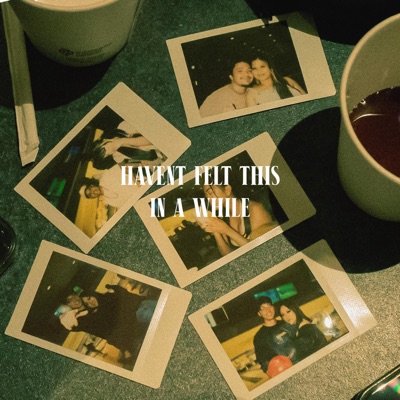 Havent Felt This in a While (feat. Maddmatt & Alika Manuel) - Single