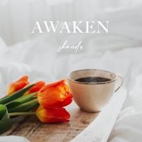 Awaken - Single - shandr