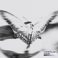 POLILLAS - Single - Constelar