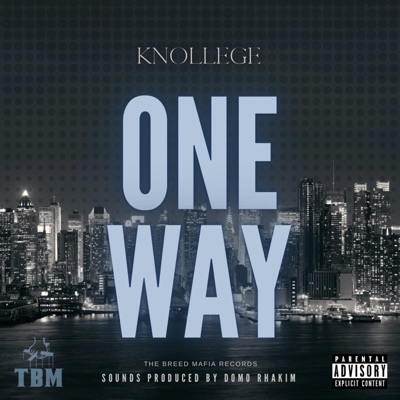 One Way (feat. Knollege) - Single