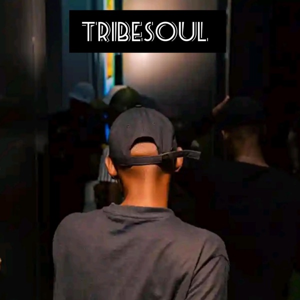 Tribesoul (Sgidongo Mix) - Single