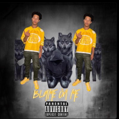 Blame on me - Single