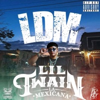 Mi Mala Suerte (feat. Ayaari Nocedal) - Single - Lil Twain