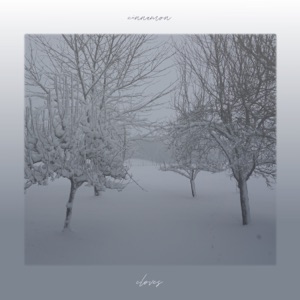 Cloves / Cinnamon - Single