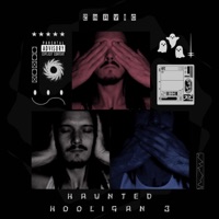 Haunted Hooligan 3 - EP - 2Havic