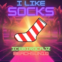 I Like Socks - Single - IceBirdCajz