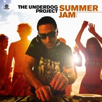 Underdog Project