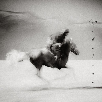 MODELAME (feat. Mechal) - Single