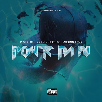 Ponte pa mi (feat. Sega Slowly & Phonix Lab) - Single