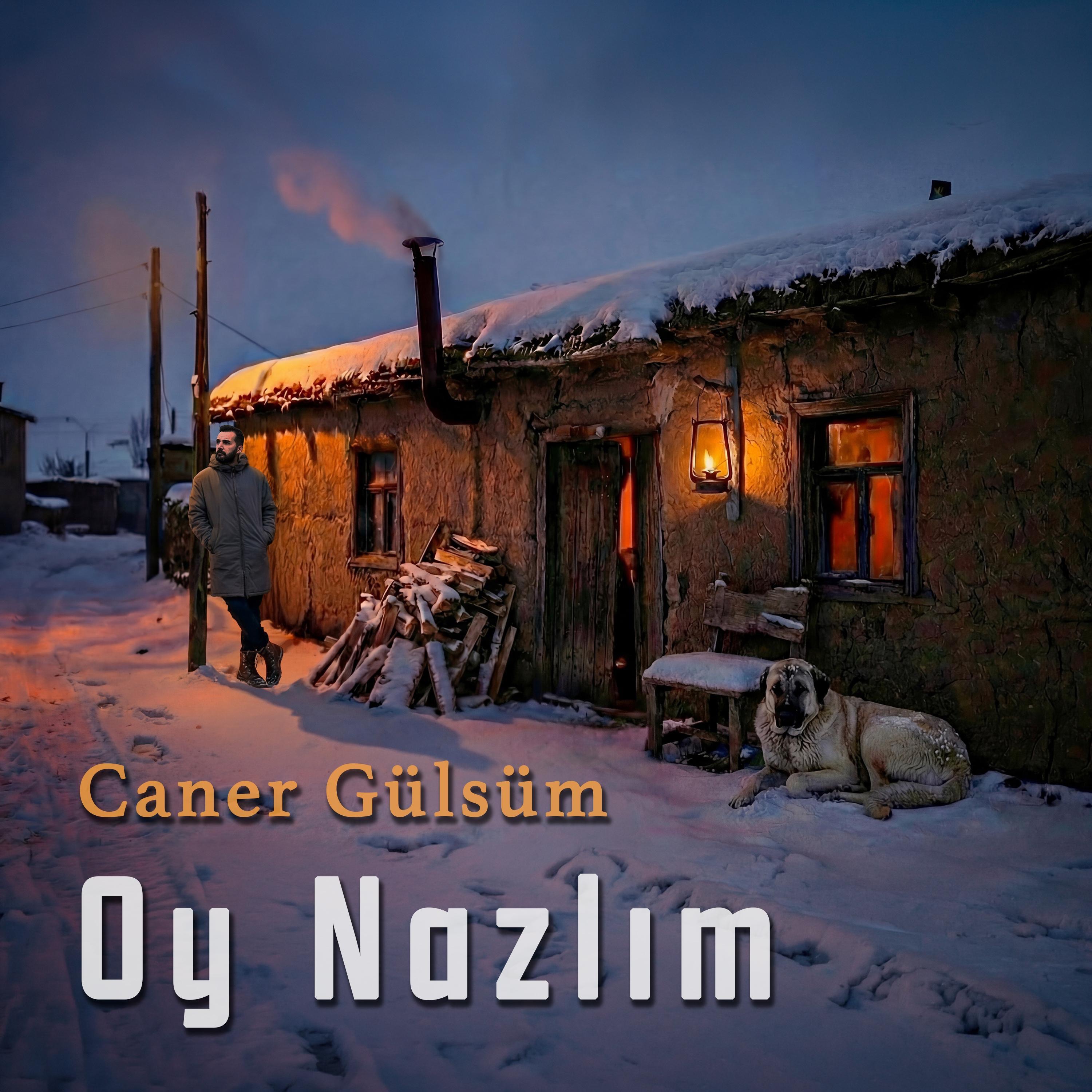 Oy Nazlım - Single