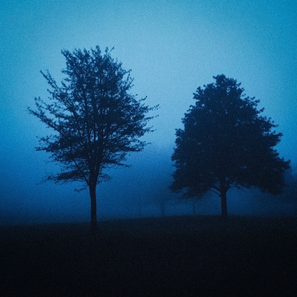 last words - Single