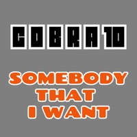 Somebody That I Want - Single - Cobra10
