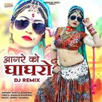 Aagre Ko Ghaghro DJ Remix - Single - Sarita Kharwal