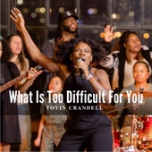 What Is Too Difficult For You artwork