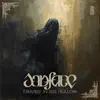 Draped in the Hollow