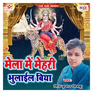 Mela Me Mehari Bhulail Biya - EP