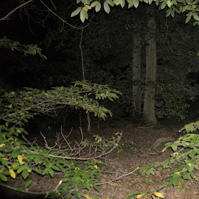 #1 (I got a feeling) - Single