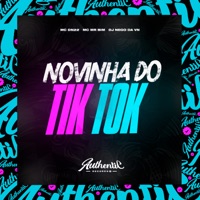 Novinha do Tik Tok (feat. MC Mr Bim & MC DN 22) - Single - DJ NEGO DA VN