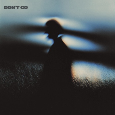 Don't Go - Single