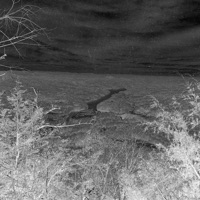 Exhale - Single - GrayGhost