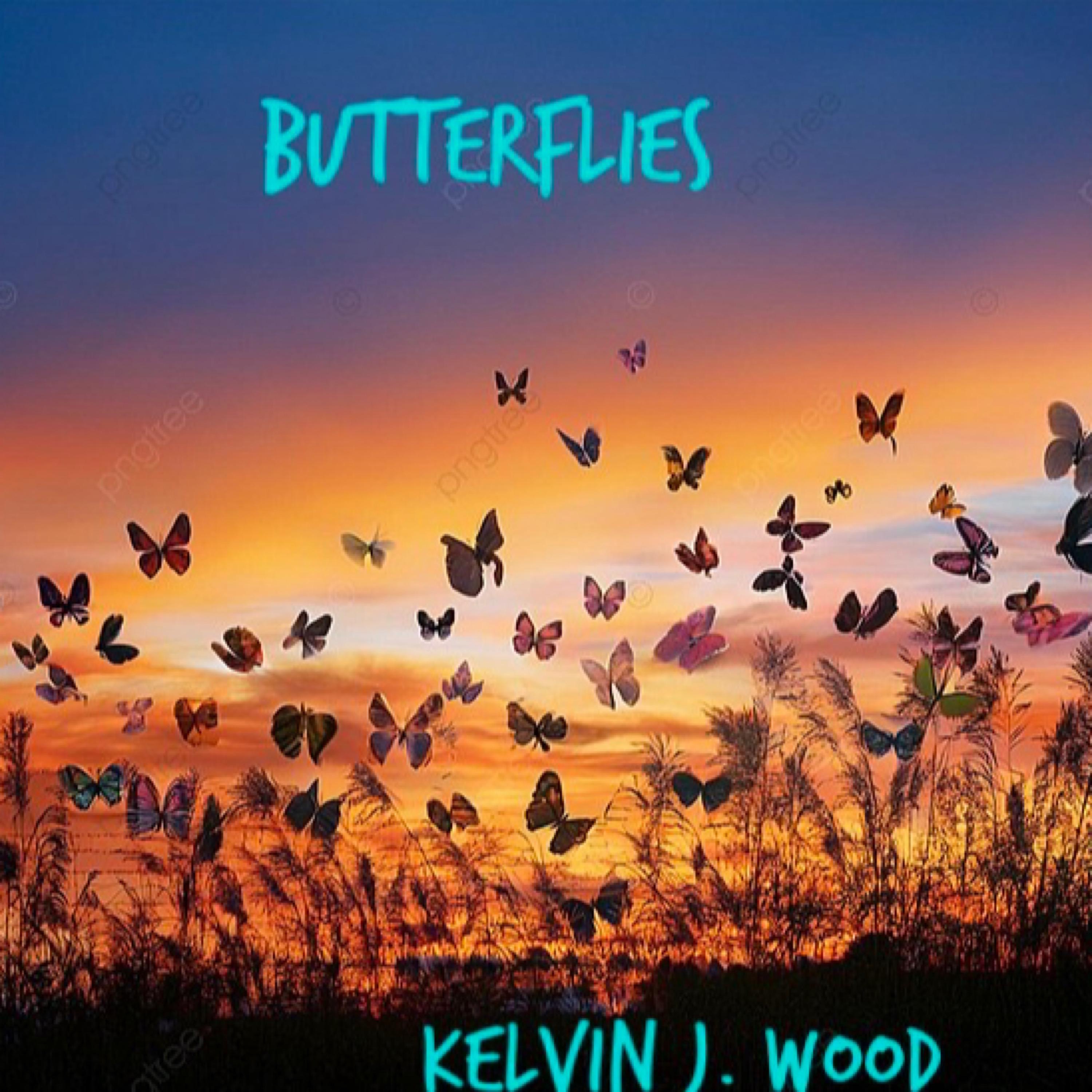 Butterflies - Single