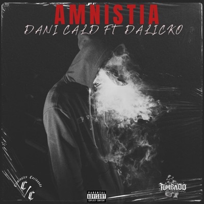 AMNISTIA (feat. Dani cald) - Single