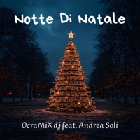 Notte Di Natale (feat. Andrea Soli) - Single - OcraMiX dj