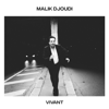 Pas vraiment - Malik Djoudi