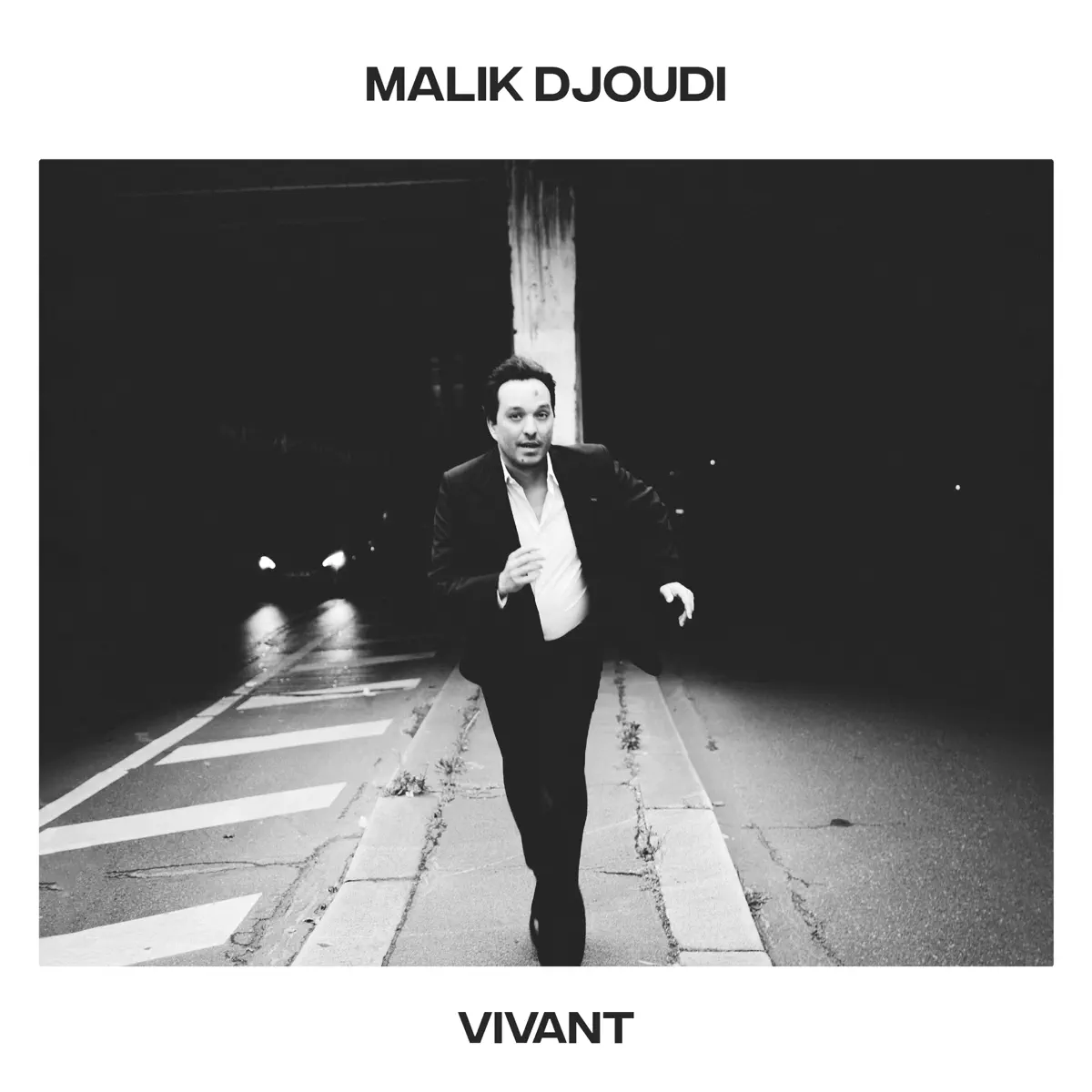 Malik Djoudi - Vivant (2024) [iTunes Plus AAC M4A]-新房子
