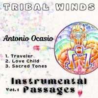 Instrumental Passages Vol. 1 - Single - Antonio Ocasio