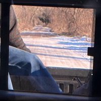 January/Fading Out - Single - Nadia & 99 Neighbors