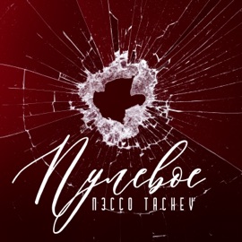 Пулевое Пэссо & TACHEV