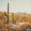 Saguaro - Single