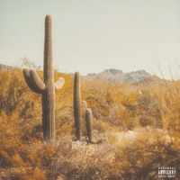Saguaro - Single - Blvck Svm & Austin Marc