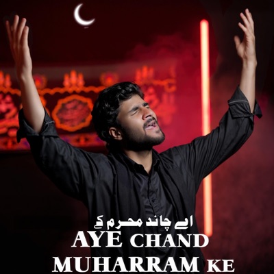 Aye Chand Muharram ke Tu Badli Main Chala Ja (feat. Waqar hussain) - Single