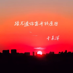 猜不透你离开的原因 - Single
