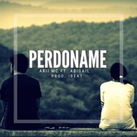 Perdoname - Single - Arii MC