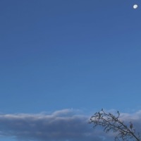 DON’T LOOK DOWN - Single - Cuileann