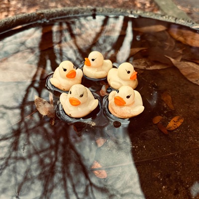 Looking For Life (In All the Wrong Places) - Single