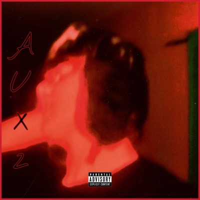 AUX 2 - Single