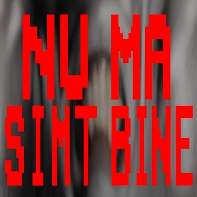 NU MA SIMT BINE (feat. raress) - Single
