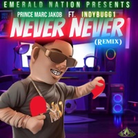 Never Never (feat. IndyBugg1) - Single - Prince Marc Jakob